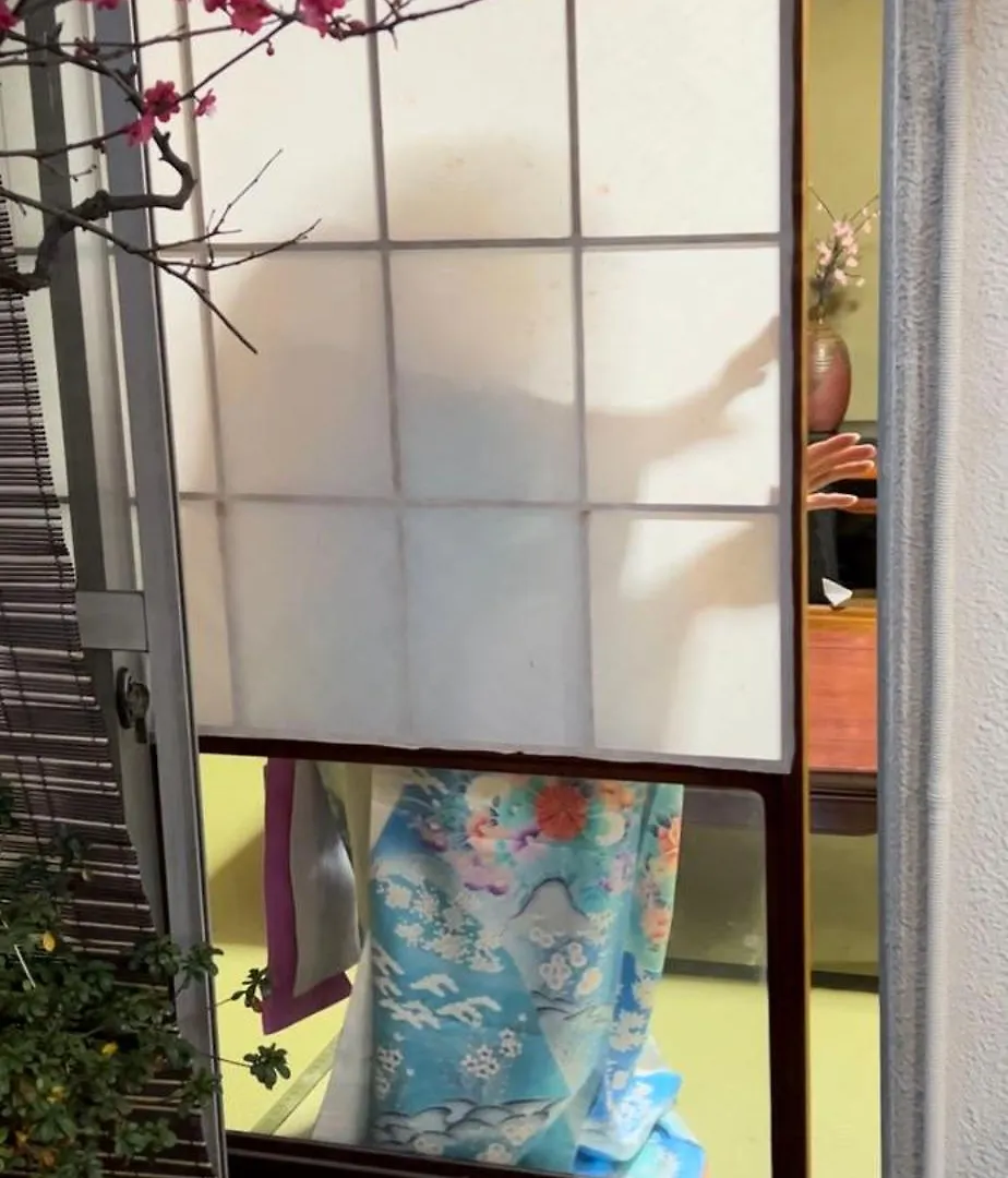 Shinjuku Shin-Okubo Japanese Style Inn Prefektura Tokio 0*,  Japonsko